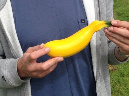 Snålt på Øyafestivalen #Øya #matsvinn #økologisk #snålmat #oikos owl.li/7M2z3031LRU