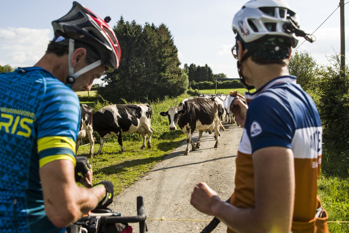 apidura's tweet photo. Spotlight on riders in France once again. Get dot watching the #FrenchDivide. #Apidura https://t.co/4PmtipK3AC https://t.co/n0W36Ukx9Q