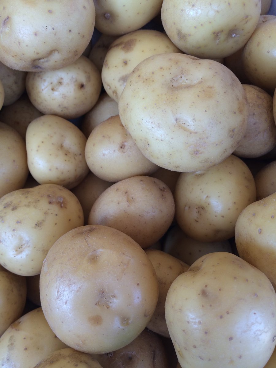 WVDeptofAg's tweet photo. Fun Farm Fact: It's National Farmers' Market Week. Eat your veggies (buy them at your local farmers' market)! https://t.co/dGPonRBza0