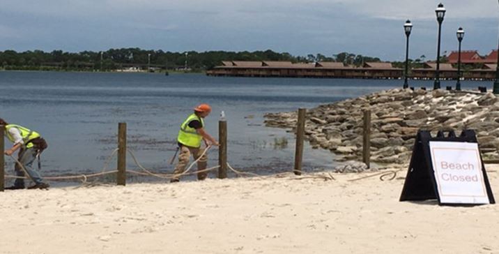 #Disney is building a wall around the lake where a 2-year-old boy was killed by a gator. bit.ly/2b0Yaxu https://t.co/oSh6P1vJui