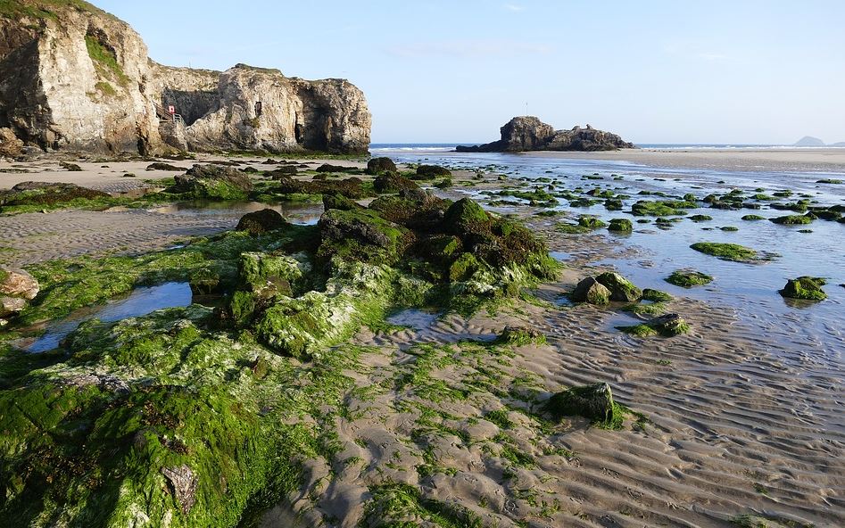 The Holiday Cottages tweet media