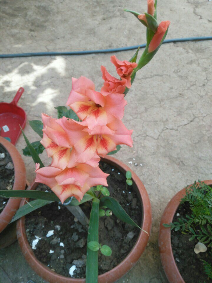 nebi ersin (@1_nebi) on Twitter photo 