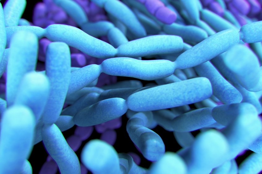 Воздушные бактерии. Пробиотики бактерии. Пробиотические микроорганизмы (бактерии). Пробиотики это живые микроорганизмы. Пробиотики полезные микроорганизмы.