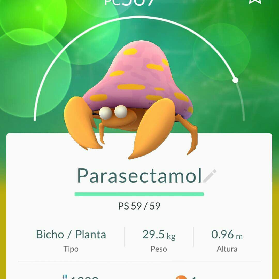 EquipoMistico's tweet photo. La tontería del día https://t.co/YhhQd7NSwv
