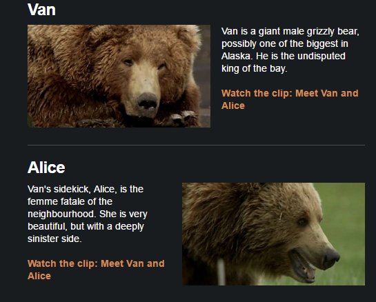 dann_ie's tweet photo. #BBC #Bears #Love #GreatBearStakeout #Pushky #Alice #Vans https://t.co/wzmx349t2h https://t.co/onjXyT9T2X