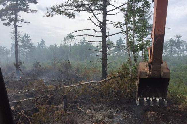 Nova Scotia imposes travel ban to keep people out of woods as wildfires burn ow.ly/Ip563032HZT