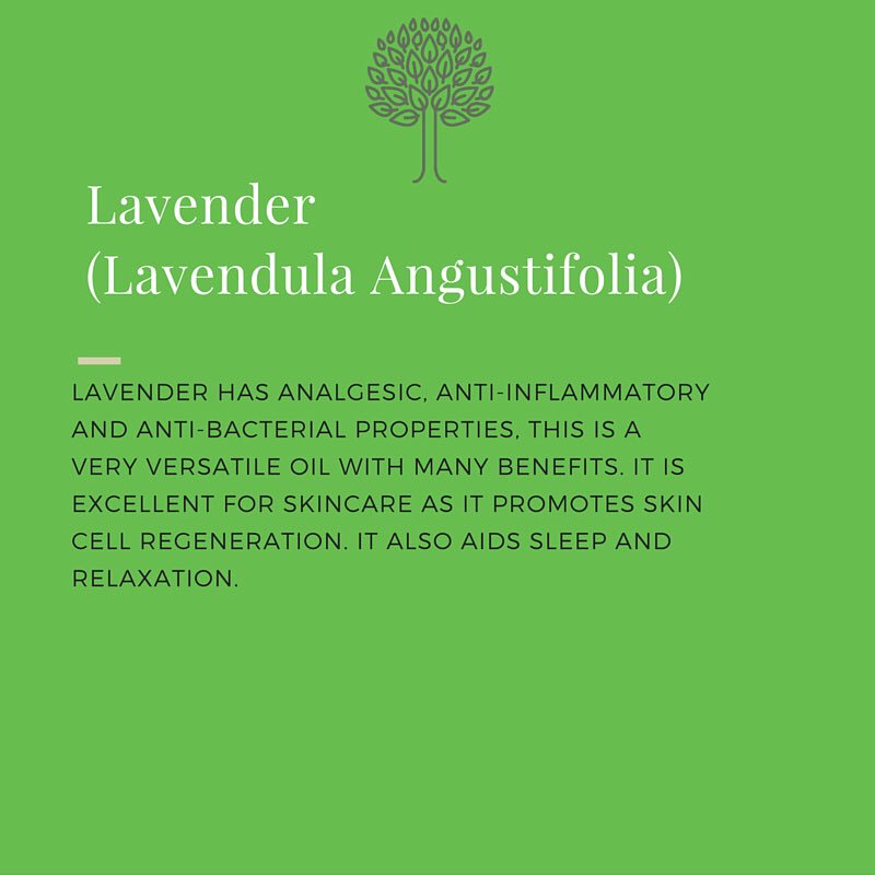 Choose a pre blend oil containing lavender for incredible health and beauty benefits- link in profile to book now