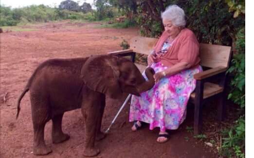Protect_Wldlife's tweet image. Beautiful people are not always good but good people are always beautiful - SO TRUE. Dame Daphne Sheldrick of @DSWT.