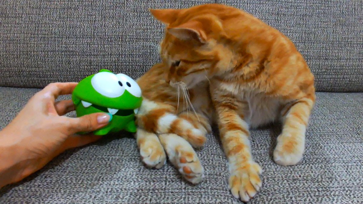 Cut_The_Rope's tweet image. #OmNom and cats are best friends forever! Happy #InternationalCatDay!
#cuttherope #cute #bff #cat