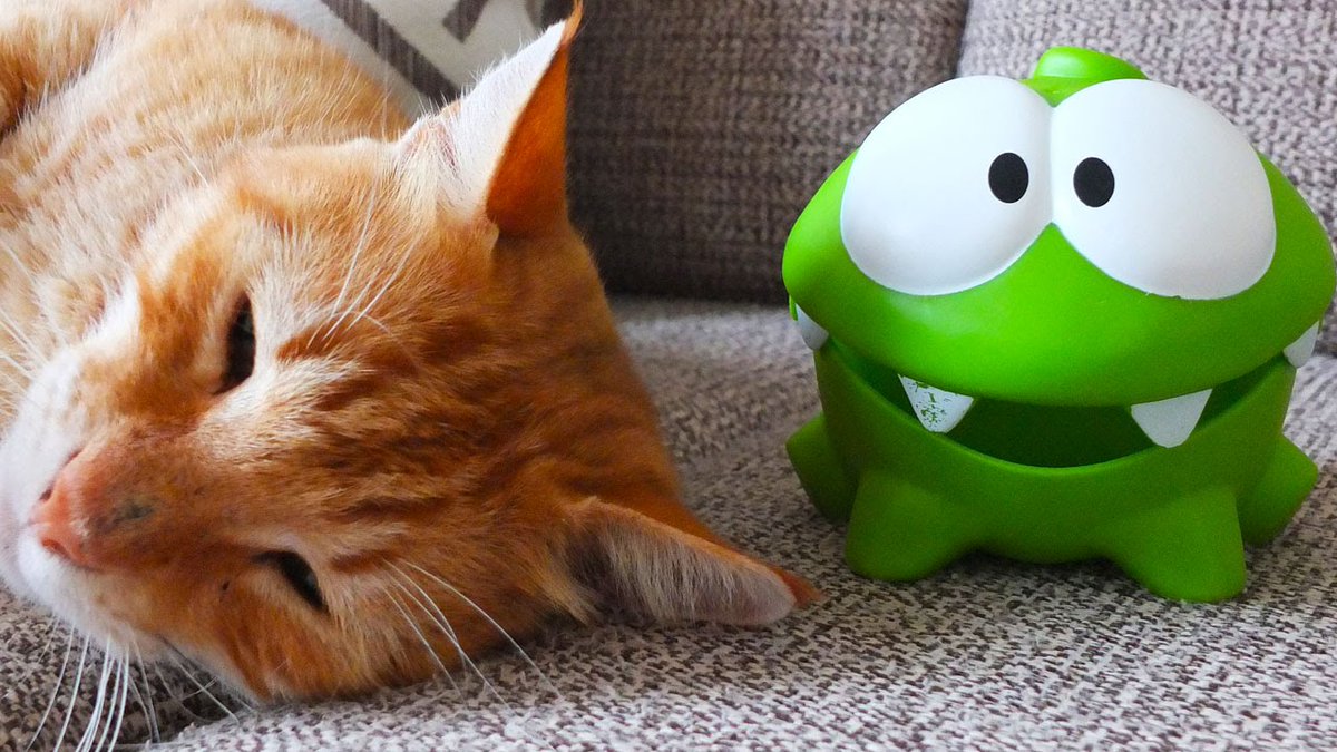 Cut_The_Rope's tweet image. #OmNom and cats are best friends forever! Happy #InternationalCatDay!
#cuttherope #cute #bff #cat