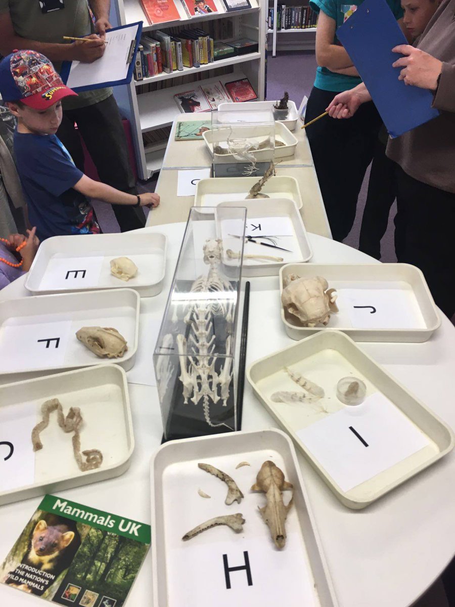 RBWM_Libraries's tweet photo. Lots of fun with the #BraywickRanger today at #BoynGroveLibrary! #BackToNature #Ranger #KeepTheKidsBusy #Summerhols https://t.co/243OpmnK7k