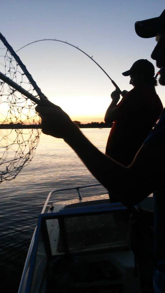 TrevorMatfin's tweet photo. Musky Fever!! #looncrewangling https://t.co/trqYsXdH0h