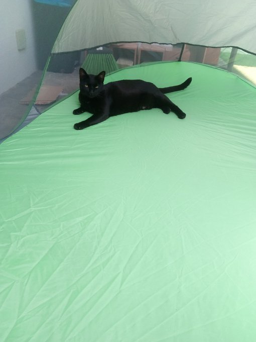 Lol it was for me in backyard lol😗 https://t.co/KND3RHPK8y