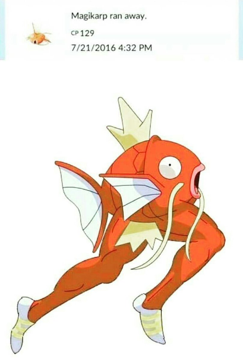 MagarreESP's tweet image. XDDDDDD No puedo parar de reírme