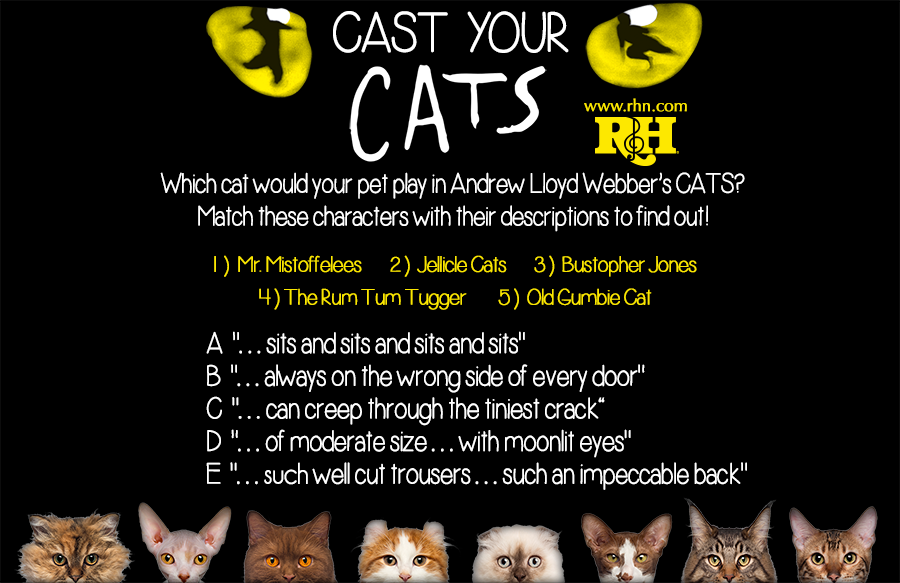 RnH_Legacy's tweet photo. Happy #InternationalCatDay! Can you match these felines from @CatsMusical to their character traits? #CatsBroadway https://t.co/2ElQIq4uUM