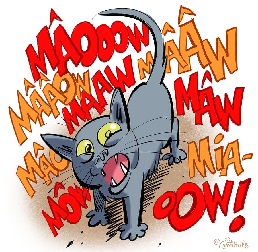 Portrait de Yuri, le chat un peu bavard de Delaf et Dubuc... 
#Journeéduchat #InternationalCatDay