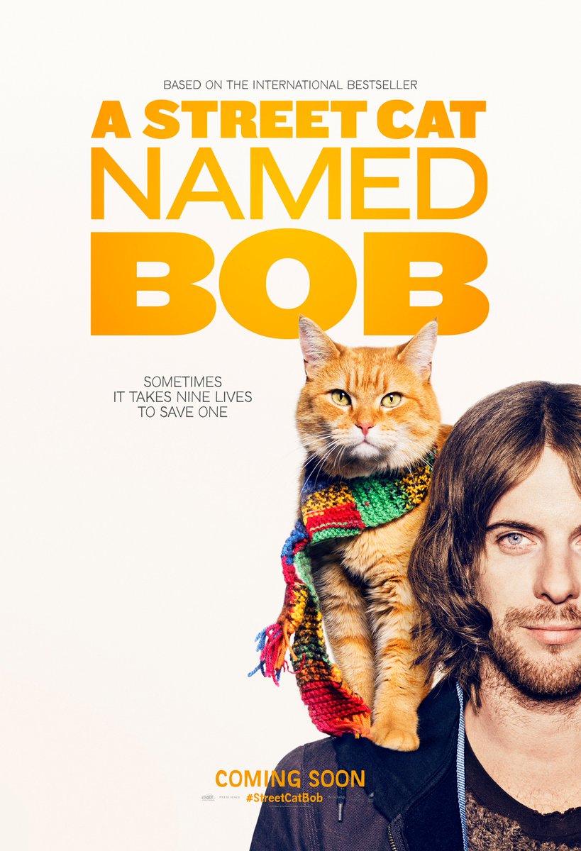 #InternationalCatDay 
A Streetcat Named Bob, naar de bestseller Bob de Straatkat, draait vanaf december in de bios!