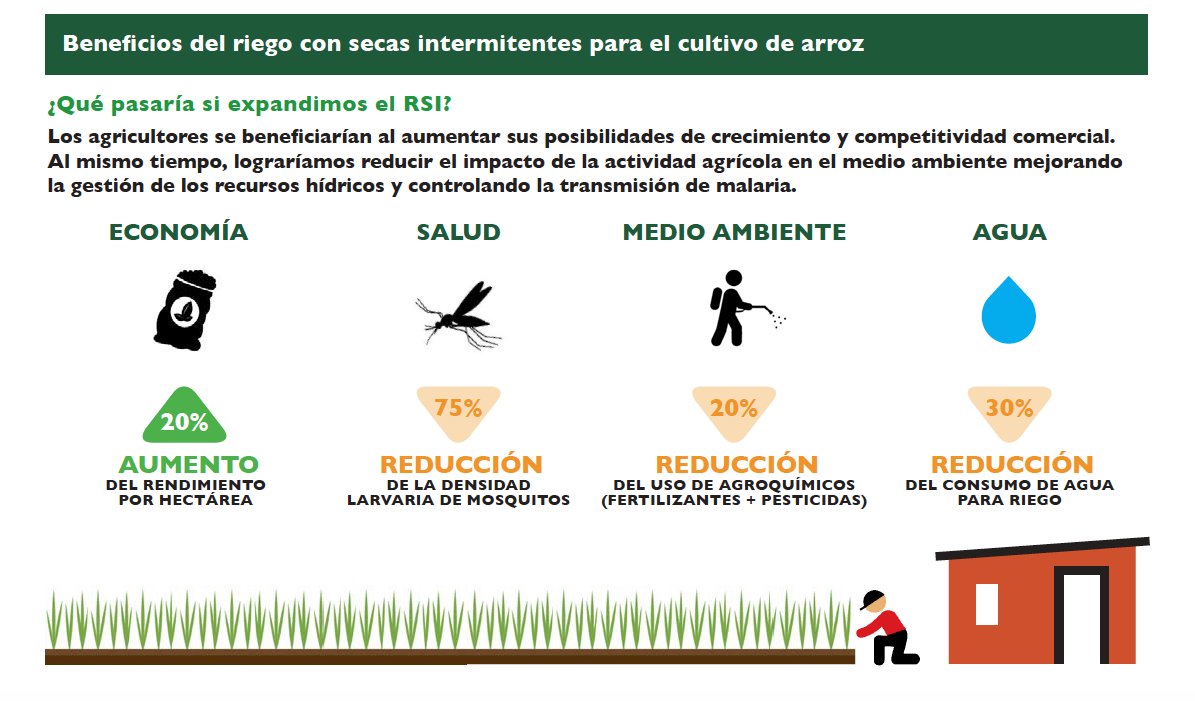 Ahora en AMI! La hoja informativa sobre el Riego con Secas Intermitentes! Haga click aquí: bit.ly/28JPvOi