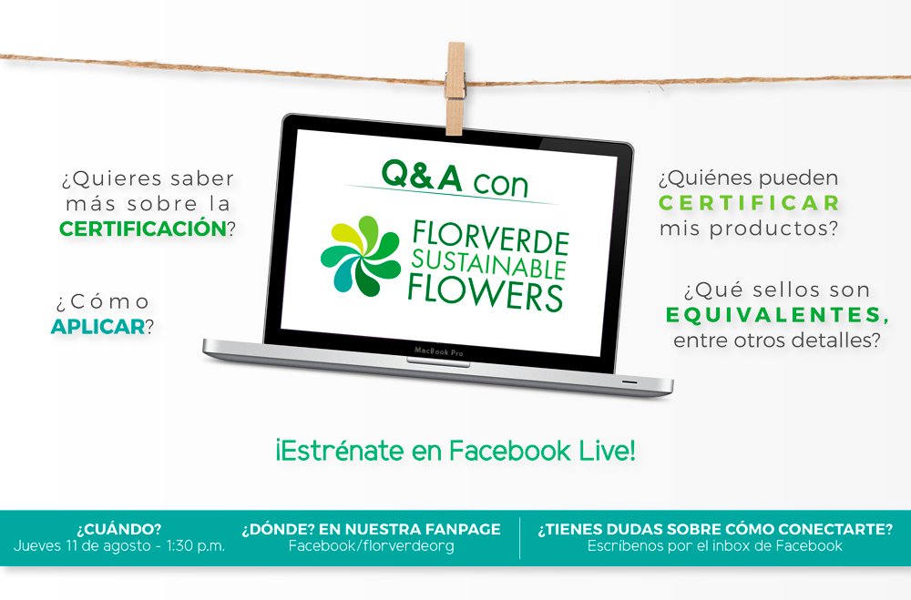 florverdeorg tweet picture