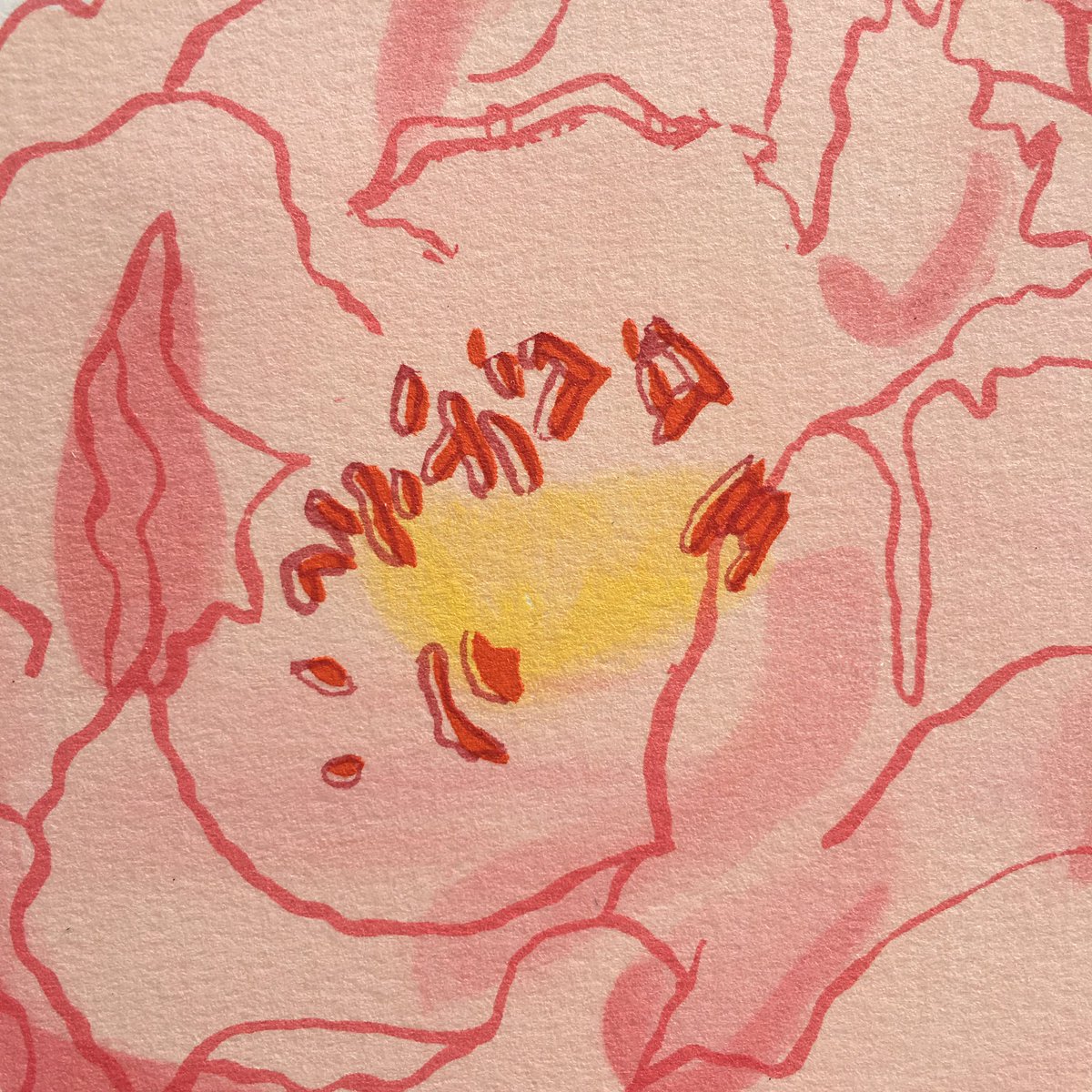Just listed one of my limited edition peony prints, check it out...etsy.me/2aGIldi #craftbuzz #etsyuk #etsy