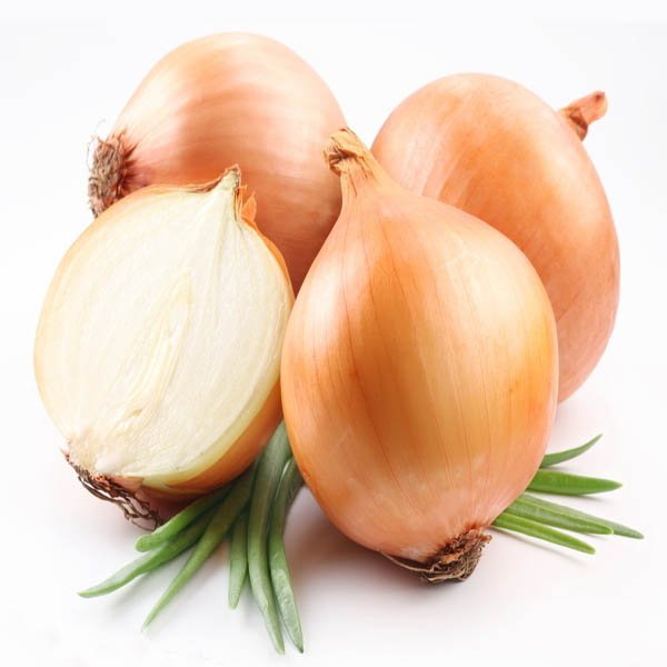 SearchinStore_'s tweet photo. Item of the Week: Giant Yellow Onion Seeds. Find them HERE: https://t.co/AeV0S2xsTi https://t.co/ED1aHvKCBm