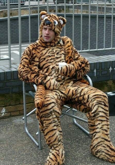 Happy #InternationalCatDay😺