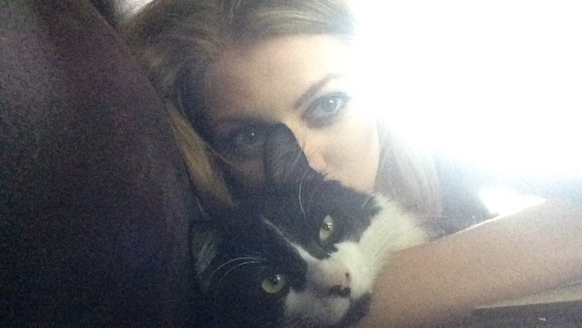 Meagaaa's tweet image. When you hug your cat but he's secretly plotting your death. #InternationalCatDay