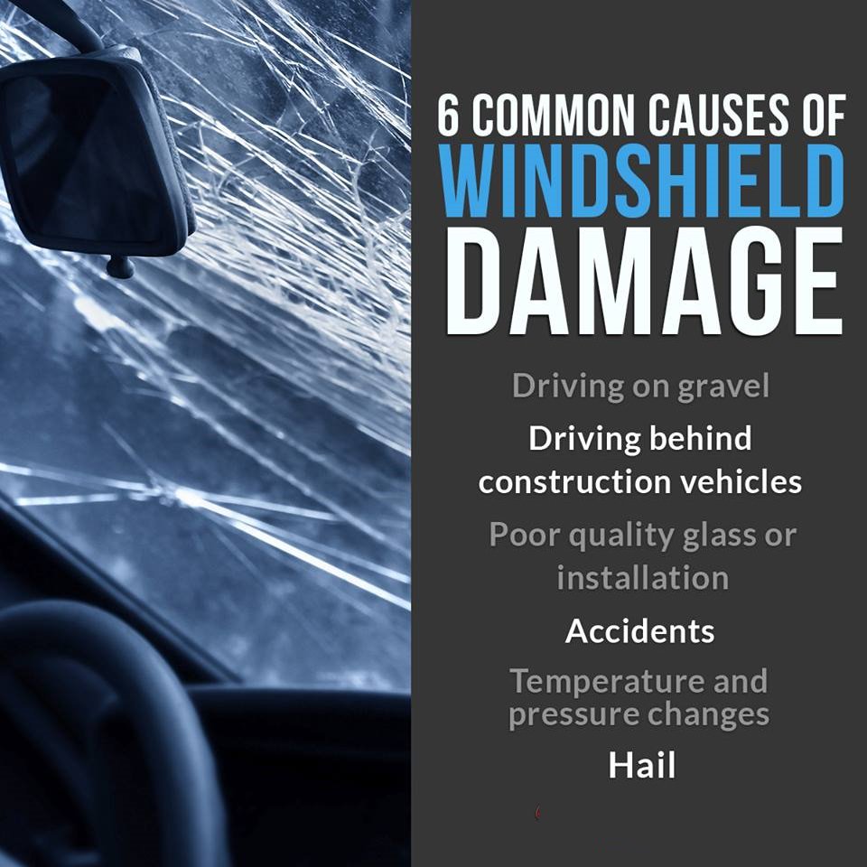AutoGlassEX_CA's tweet photo. Do you know what can damage your #windshield? Sometimes #cracks &amp; #chips can't be avoided. #AutoGlassExpress https://t.co/Rtw1PmjQnc