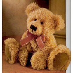 burnleycouk's tweet image. Don't miss the teddy bear's picnic @Gawthorpe_Hall ~ Wed 10th Aug 1-4 pm #fun ~take your favourite bear along.£2pp