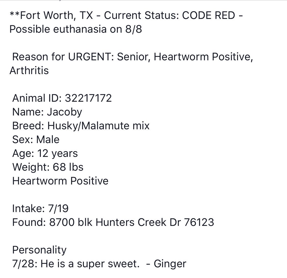 sookie_grace's tweet photo. 🚨12 YR OLD JACOBY COULD DIE TODAY #FortWorth #TX SAVE HIM‼️ #Adopt #Foster #Rescue #Pledge https://t.co/6M6jC4GU5J https://t.co/Nnd0IPWbHp