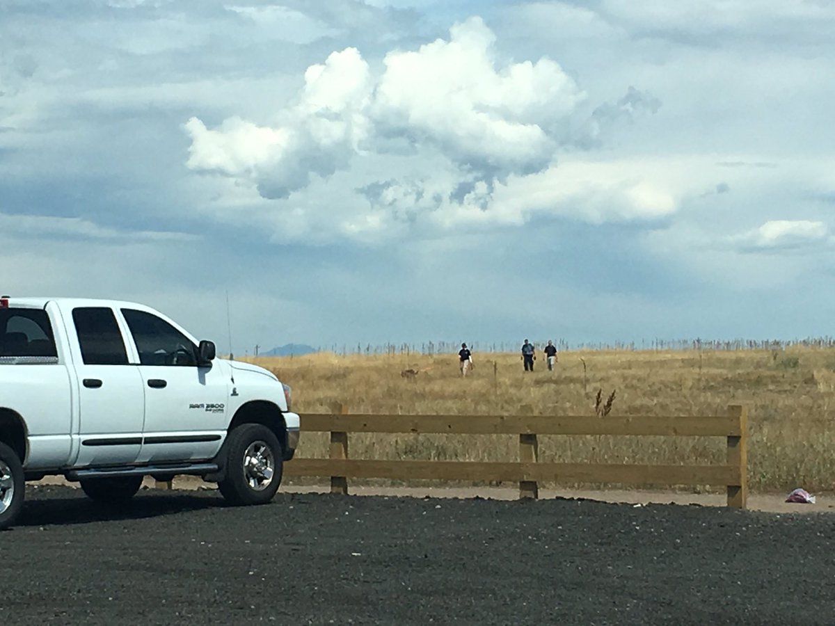 Kelly_OnTV's tweet photo. .@jeffcosheriffco blood hound assisting in search for missing Westminster teen. #missingalice #cbs4 https://t.co/Kl3Gpw6RuI