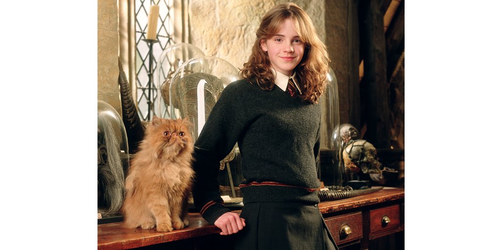 кошка гермионы. гермиона грейнджер узник азкабана. гарри поттер гермиона и кошка. кошка гермионы. кошка гермионы.