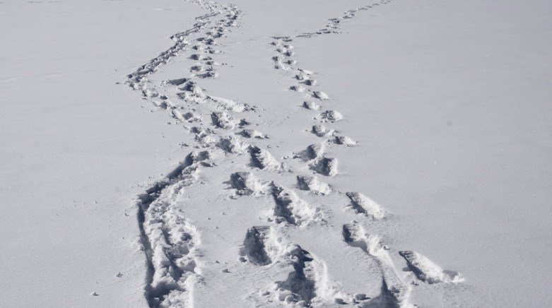 AdbrainTech's tweet image. Still not sure what a #devicegraph is for #crossdevice marketing? @Digiday  bit.ly/2b8sshb