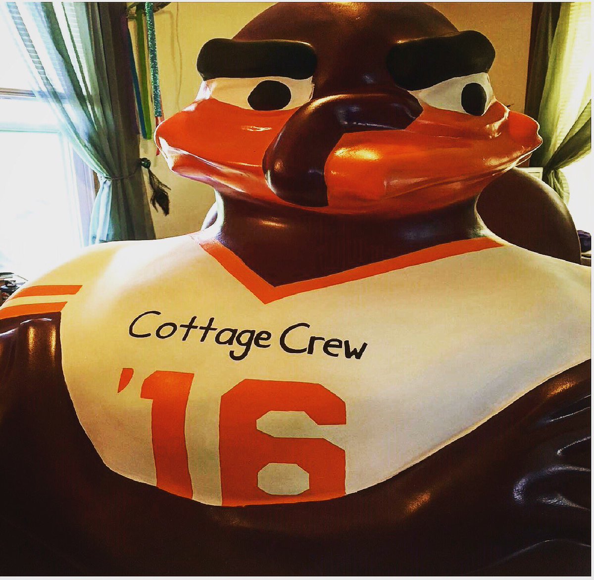 retreatvt's tweet photo. Say hello to the Retreat Hokie Bird! #CottageCrew #RetreatVT Big thanks to the Blacksburg Partnership! https://t.co/3IzikaRaGv