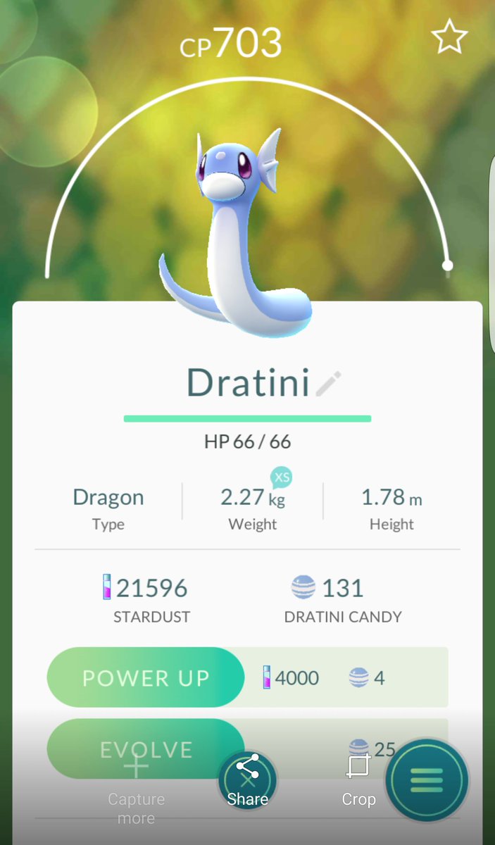PokeSafariGuide's tweet photo. @CatchEmAlI @PokeGoServers @PoGoServer @PokemonGoMiami #CatchOfTheDay caught this guy. Now to get my 1st dragonite. https://t.co/k2gHVlz0a0