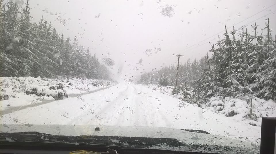 AllAboutHB's tweet photo. Power and road access restored for rural Hawke's Bay residents https://t.co/L0coe7WuU2 #powerisbackon #polarblast https://t.co/YUgy2VgNOk