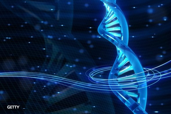 sciam's tweet photo. Here are three human chimeras that already exist https://t.co/xSnb8Ynex7 https://t.co/cfRqINuB24