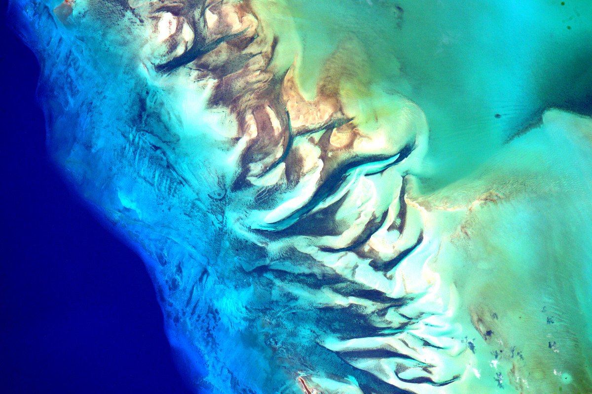 StationCDRKelly's tweet photo. I knew it! The waters in the #Bahamas are as beautiful on Earth as they are from space! https://t.co/uGkm5e18yK