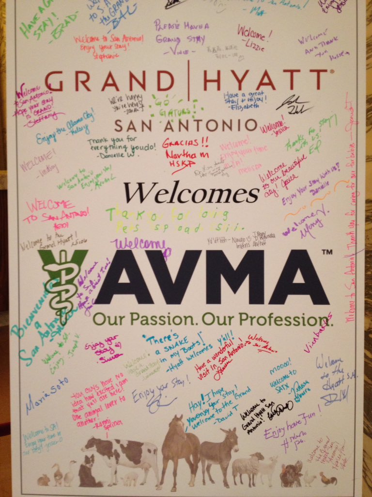 taraedwardsvet's tweet photo. Excited to be presenting on rehab tomorrow #avma2016 https://t.co/MQgoAsbAPW