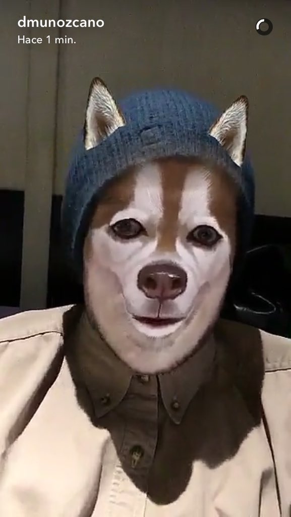 BPSUTijuana's tweet photo. @DMunozcano que leeeendo 🐶😊💚
#DevAndy 👽 https://t.co/q1WMQPDyoj