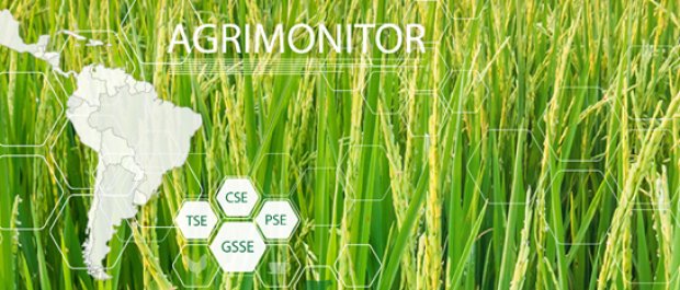 datospy's tweet photo. ¿Cómo usar #datosabiertos para analizar políticas agropecuarias?🌱https://t.co/NTjDeca8Mf https://t.co/tJgPig1NQU