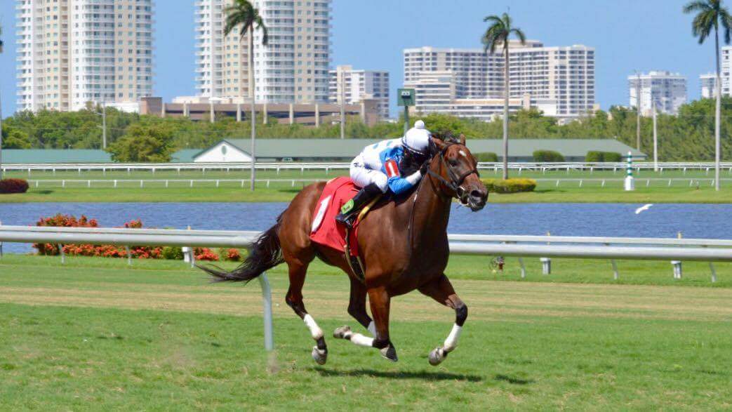 carlosjhernand's tweet photo. 🏇🏇🏇🔥🔥🔥💨💨💨🏆 gracias a Dios por la Victoria vamos arriba sin el nada https://t.co/EMfec66RYi