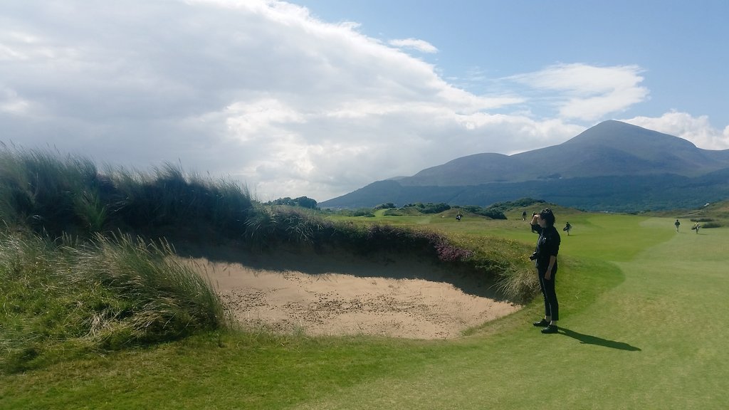 sophie_oleo's tweet photo. At Royal County Down where naturalised bunkers are the norm #mountainsofmourne #natureoncourse https://t.co/rgz3GcsohL