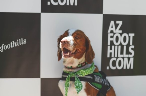 AZ Foothills Magazine tweet media