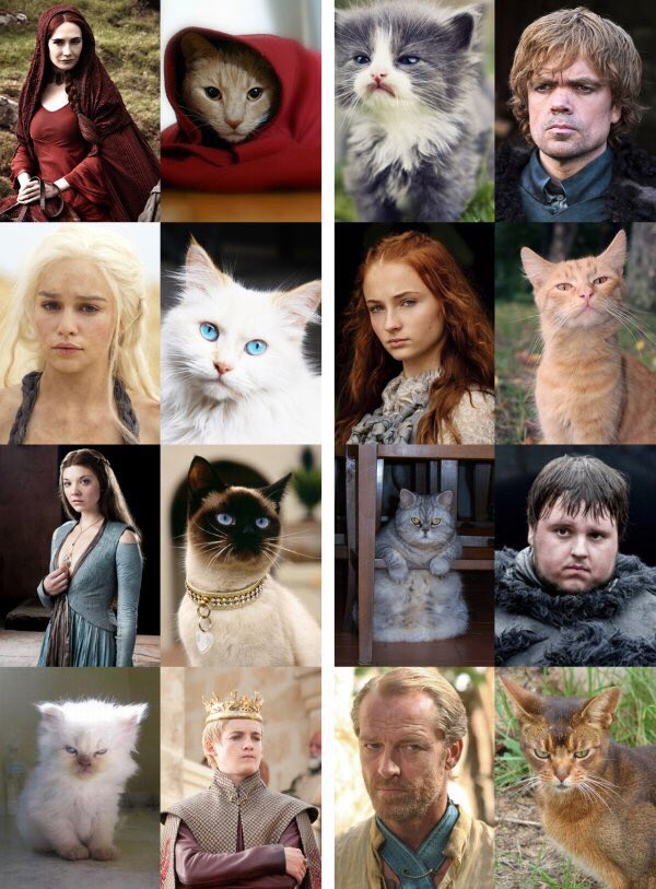 Daenerys's tweet photo. Happy #InternationalCatDay!
#GameofThrones https://t.co/eSpaYKAN0U