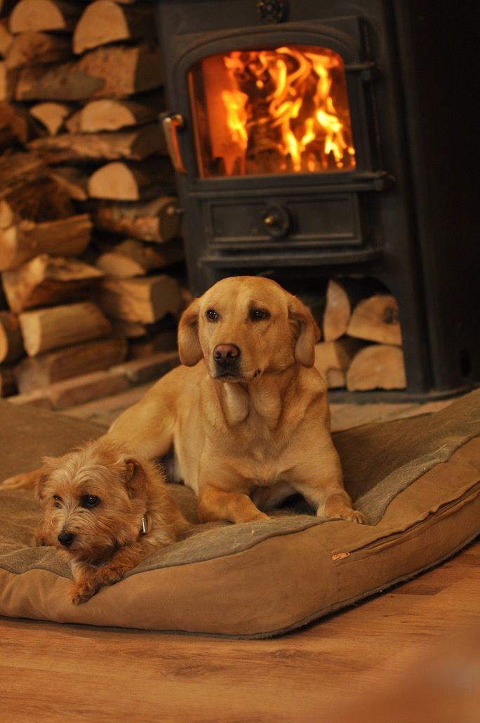 WalkersLogs's tweet photo. #WorcestershireHour! We deliver kiln dried logs to your area! "Summer" won;t last forever! https://t.co/nUmASNK2IS https://t.co/4FkcrSRJo0