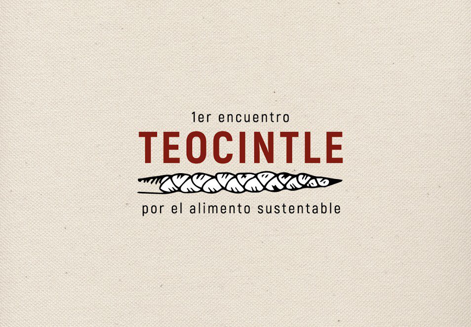 DocsMX's tweet photo. Conoce las actividades del 1.er encuentro #TEOCINTLE en el @museotamayo. El 27 de agosto de proyectará @sunudoc. https://t.co/KcNRpWZ79k