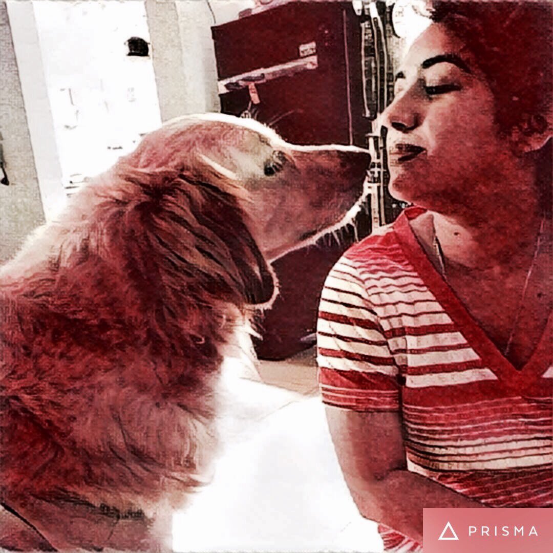 ppreet's tweet photo. That look !!! #purelove #lycka #family #cuddlebaby #prisma https://t.co/waWr7Qn5os