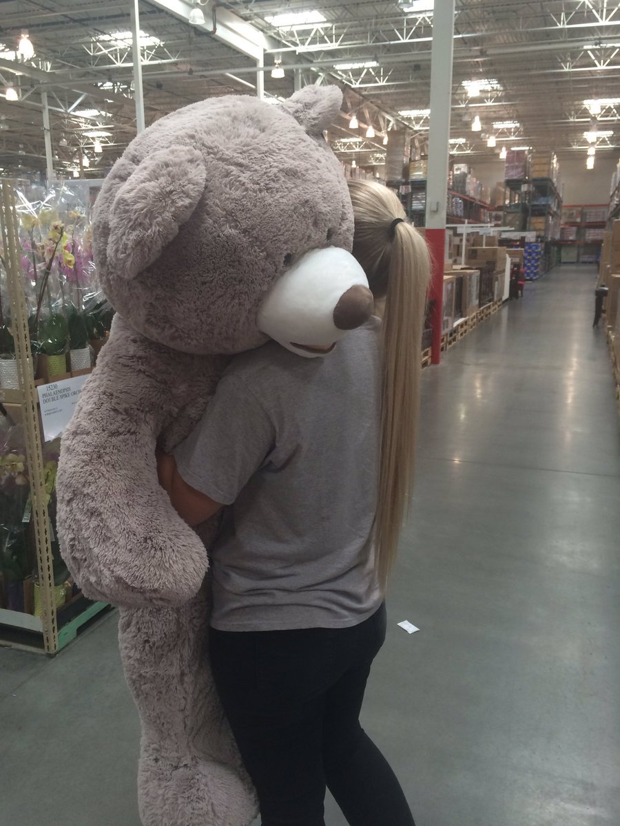 samj_barnett's tweet photo. Bringing him to Germany with me bc no boys for 18 months lol https://t.co/vOjLceeC2W