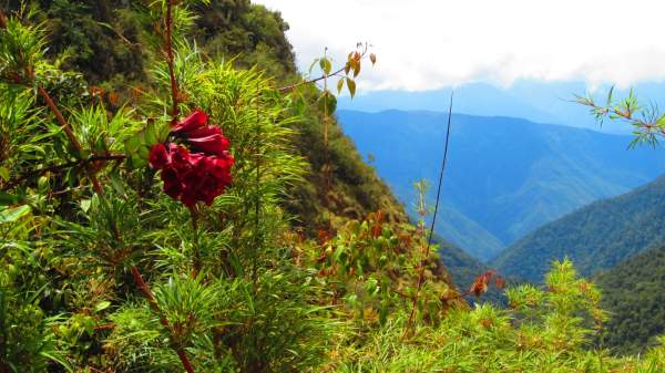 ExploreSouth's tweet photo. #TRIPOFTHEWEEK #Ecotour encompassing all of #Peru's top attractions! https://t.co/N6egBuqngW #IncaTrail #MachuPicchu https://t.co/Ymhff2CcXV
